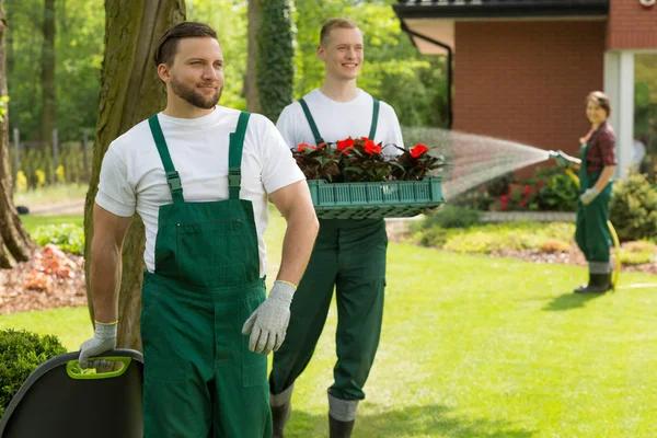 Transform Your Yard with Landscaping Services in Casselberry