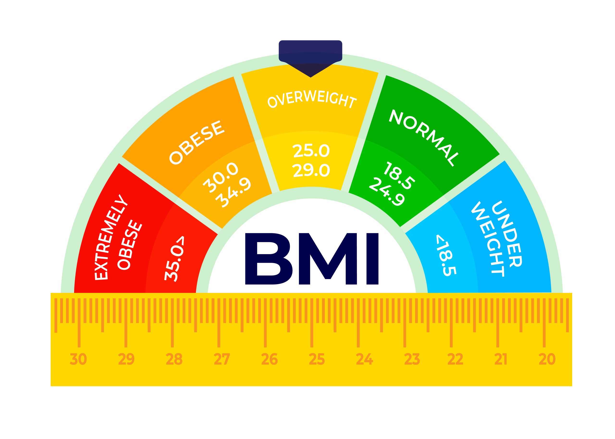 Free BMI Calculator - Check Your Body Mass Index Instantly