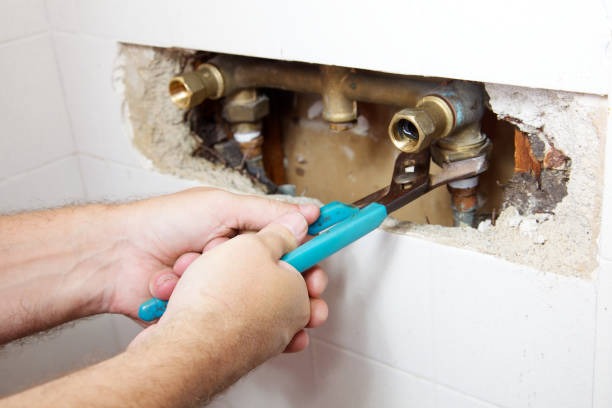 Find a Dependable plumber near me for Quick Plumbing Assistance