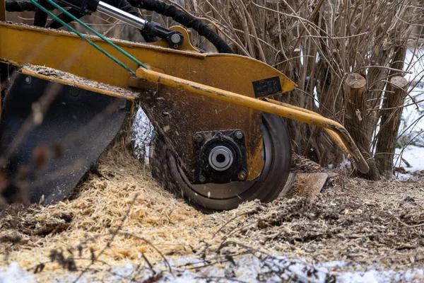Complete Guide to Stump Grinding Before Fence Construction